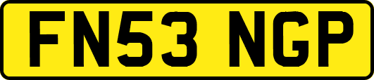 FN53NGP