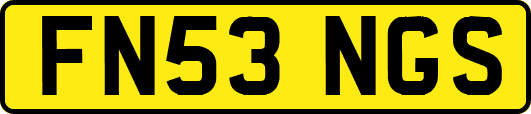 FN53NGS