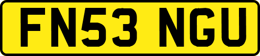 FN53NGU