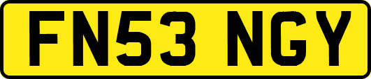 FN53NGY
