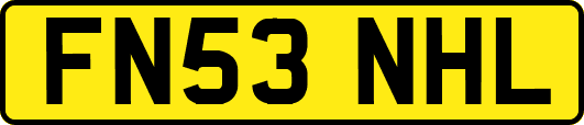 FN53NHL