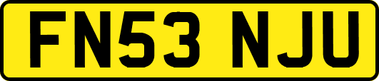FN53NJU
