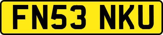 FN53NKU