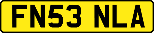 FN53NLA