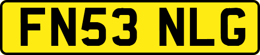 FN53NLG