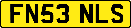 FN53NLS