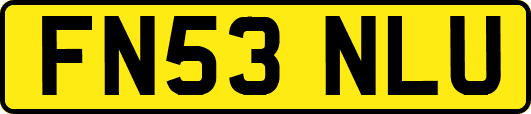FN53NLU