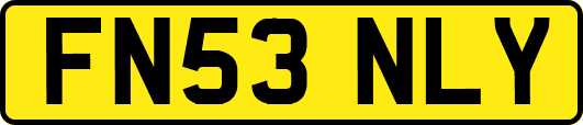FN53NLY