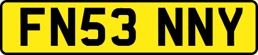 FN53NNY