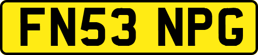 FN53NPG