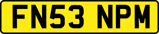 FN53NPM