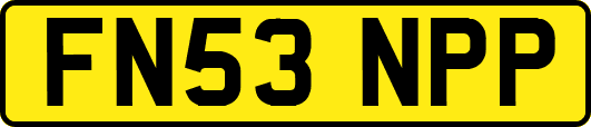 FN53NPP
