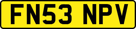FN53NPV