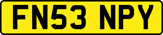 FN53NPY