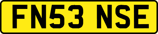 FN53NSE