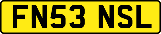 FN53NSL