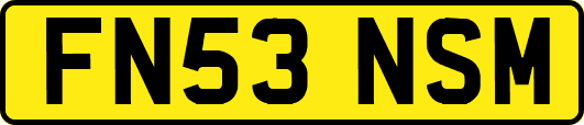FN53NSM