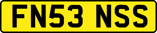 FN53NSS