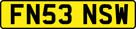 FN53NSW