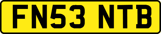 FN53NTB