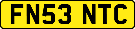 FN53NTC