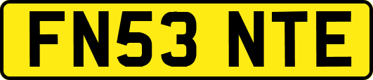 FN53NTE