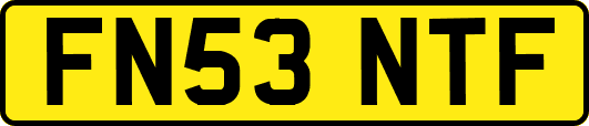 FN53NTF
