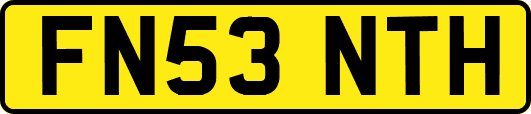 FN53NTH