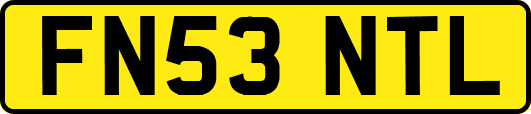 FN53NTL