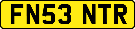 FN53NTR