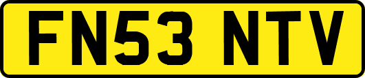 FN53NTV