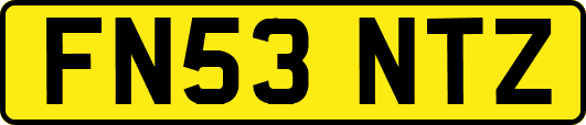 FN53NTZ