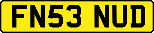 FN53NUD
