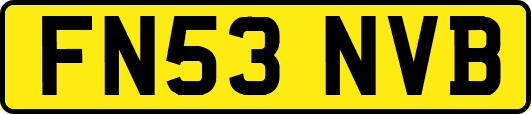 FN53NVB