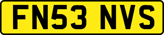 FN53NVS