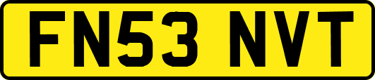 FN53NVT