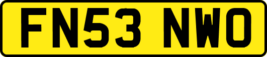 FN53NWO