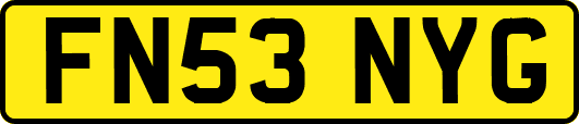 FN53NYG