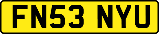 FN53NYU