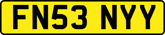 FN53NYY