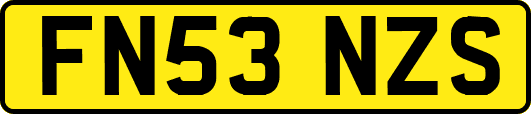 FN53NZS