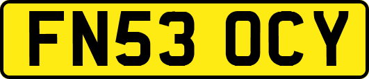 FN53OCY