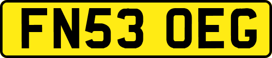FN53OEG