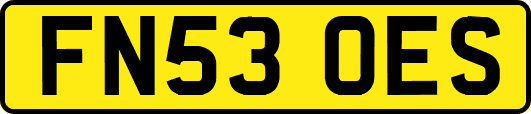 FN53OES