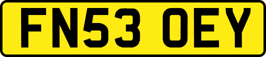 FN53OEY