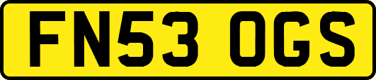 FN53OGS