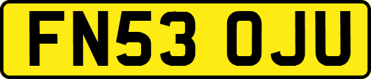 FN53OJU