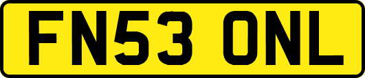 FN53ONL