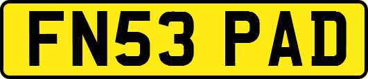 FN53PAD