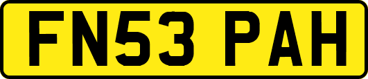 FN53PAH